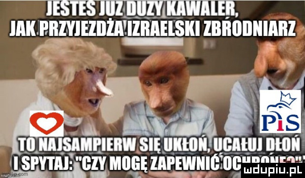ie ie iiizliijihmawmeb. mk piiiyieziiia iziiihski lbiiﬂdililliii ę m mru rumu sm umi ucntul nam sma czy mnamrmule ncugsgęsgt