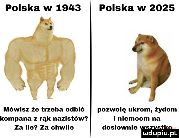 polska w     . j mówisz że trzeba odbić kompana rąk nazistów za ile za chwile polska w      pozwolę udrom żydom i niemcom na