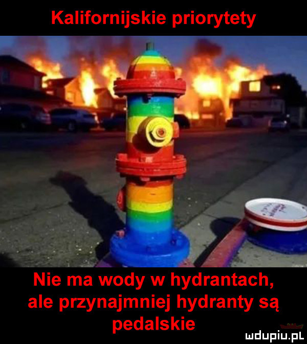 kalifornijskie priorytety nie ina wody w hydrantach ale przynajmniej hydranty są pedalskie