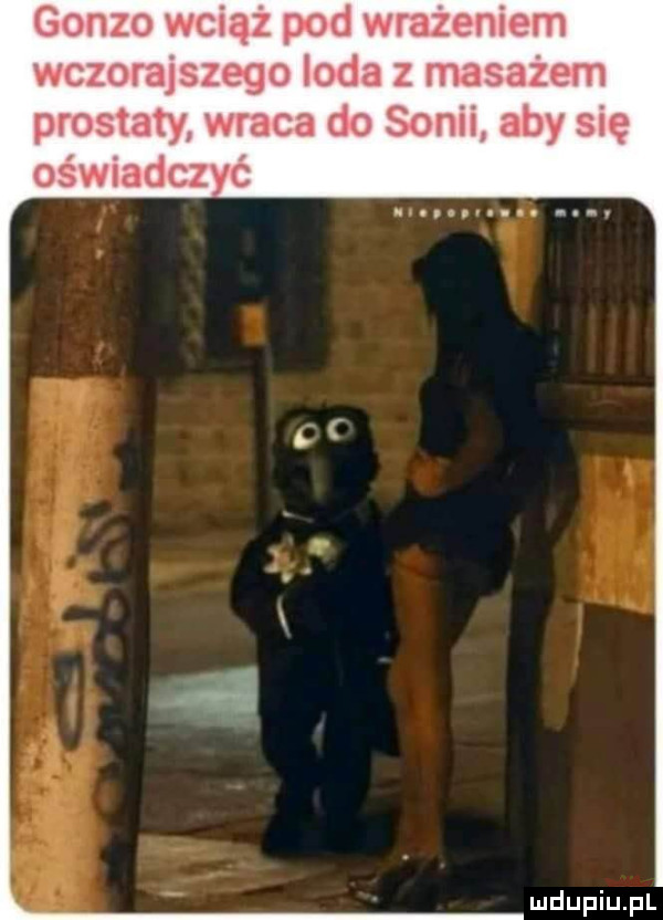gonzo wciąz pod wrazeniem wczorajszego loda z masażem prostaty wraca do sonii aby się ośwmdczyc
