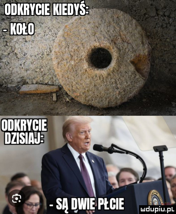 onxnvclnutnvs