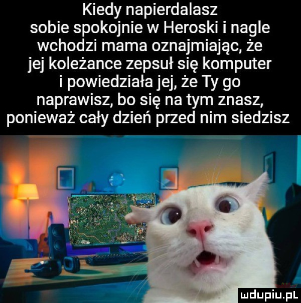 kiedy napierdalasz sobie spokojnie w heroski i nagle wchodzi mama oznajmiając że jej koleżance zepsuł się komputer i powiedziała jej że ty go naprawisz bo się na tym znasz ponieważ cały dzień przed nim siedzisz