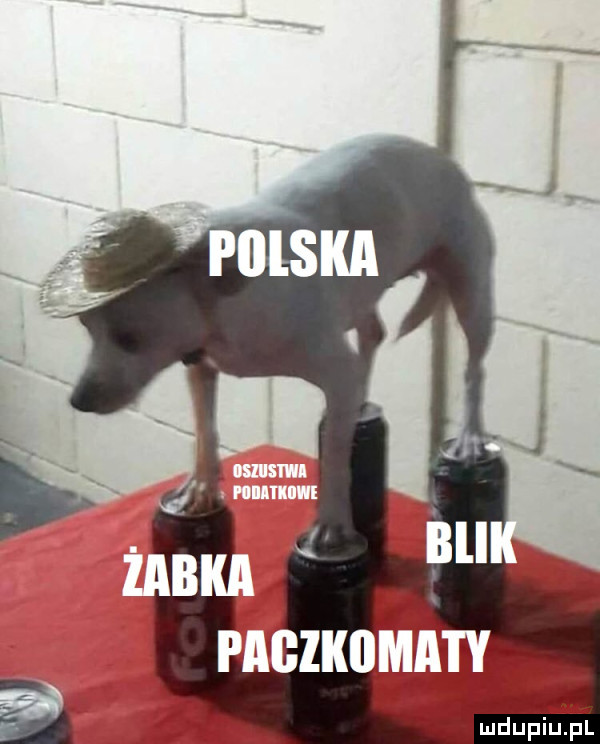 lu duciu. pl
