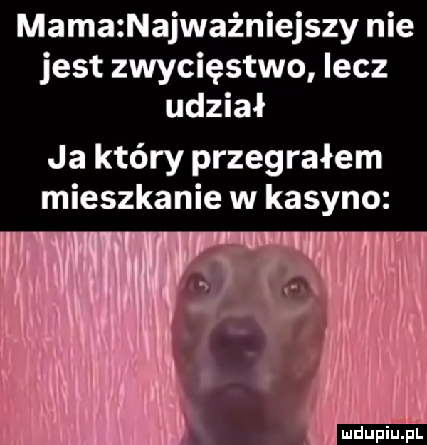 mamaznajważniejszy nie jest zwycięstwo lecz udział ja który przegrałem mieszkanie w kasyno