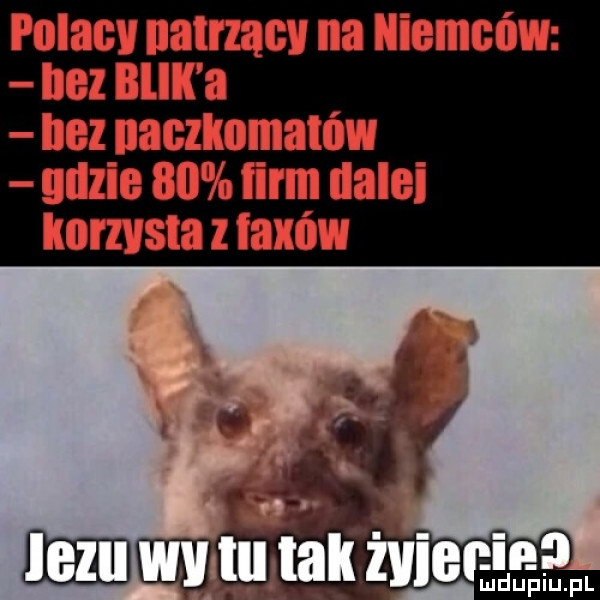 polacy nade na niemców. bez blik a bez naczlnmatńw ullzle    nin nalal komsta faxów