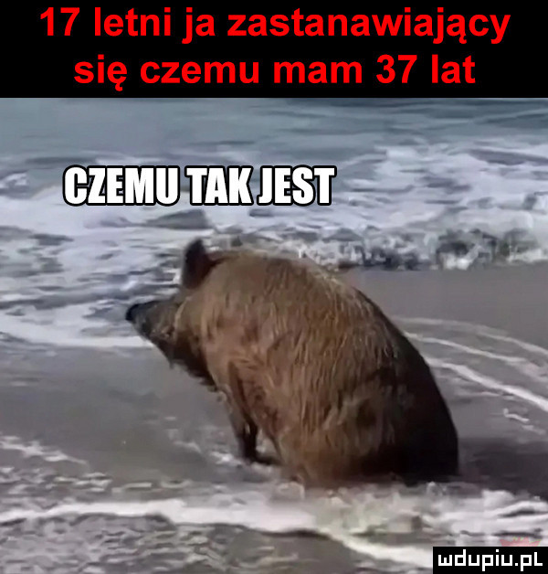 letni ja zastanawiający się czemu mam    lat