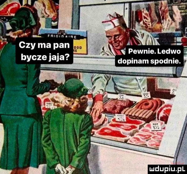 czy ma pan   l bycze jaja w pewnie. ledśłolo dopinam spodnie