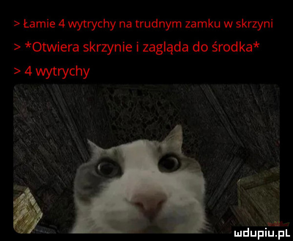 łamie   wytrychy na trudnym zamku w skrzyni otwiera skrzynie i zagląda do środka wytrychy