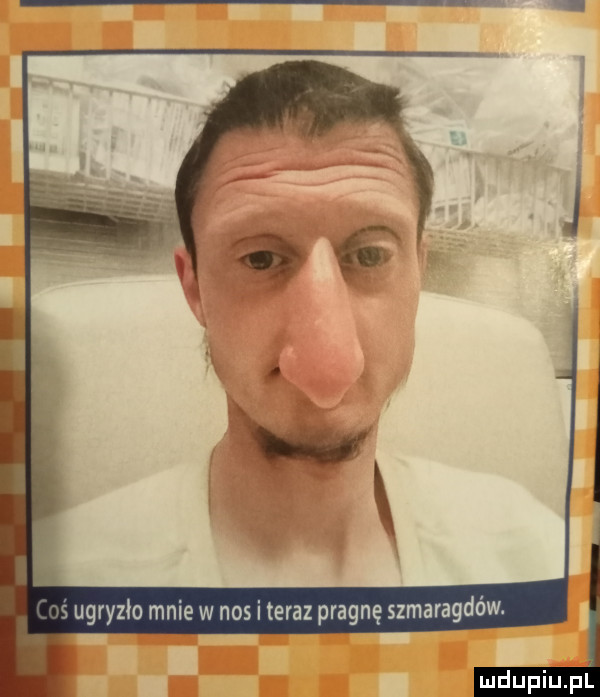 jugryzło mnie w nos i teraz pragnę szmaragdów