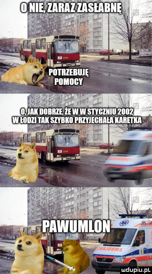 uulrśznnn in tn n rt   mnmmt muucv