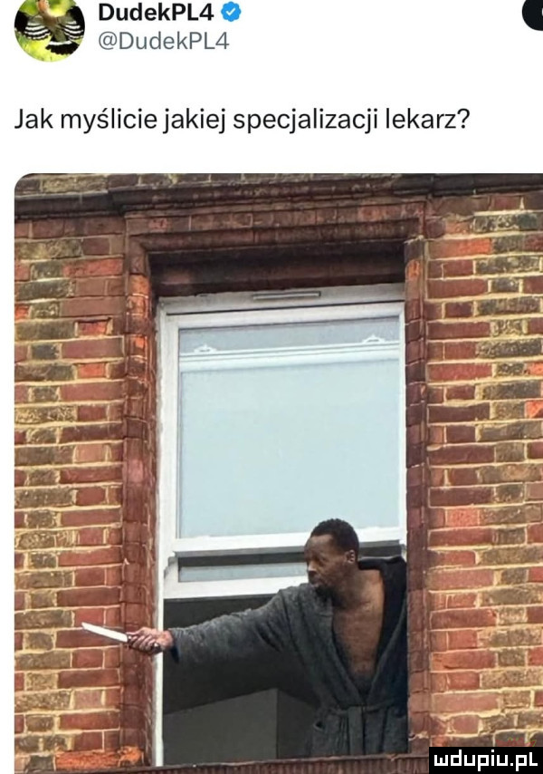 dudekpl  dudekpl  mdupiuąśl