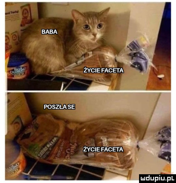 poszła se
