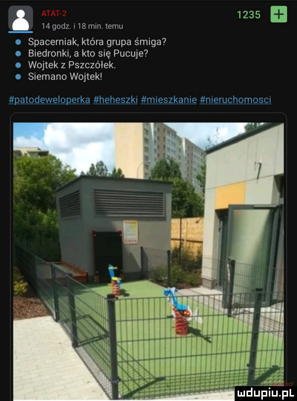 mgodz adm emu o spacerniak która grupa śmiga. biedronki a kto się pucuje . wojtek z pszczélek n siemano wojtek natodeweloperka heheszki mleszkanle meruchomoscl