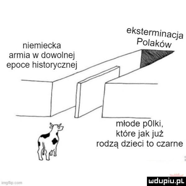 eksterminacja niemiecka po agów armia w dowolnej epoce historycznej młode pliki które jak już rodzą dzieci to czarne ludu iu. l
