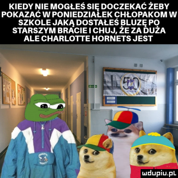 kiedy nie mogłeś się dogzekaó żeby pokazac w poniedziałek chłopakom w szkole jaką dostałeś bluzę po starszym bracie i chuj ze za duża ale charlotte hornets jest