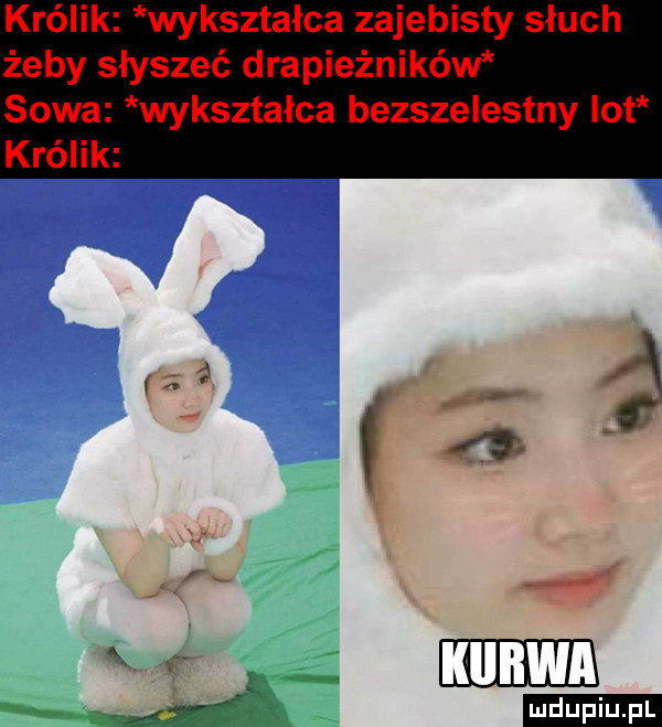 z j w emm j