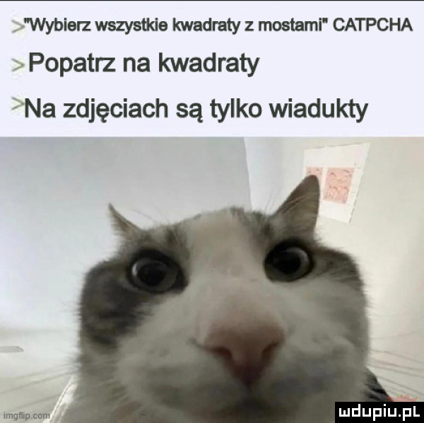 wybierz wszystkie kwadraty z mostami catpcha. popatrz na klad raty na zdjęciach są tylko wiadukty mam