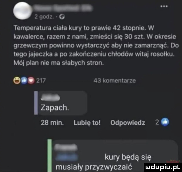 godz   temperatura ciala kury to prawie    stopnie. w kawalerce razem z nami zmieści się    set. w okresie grzewczym powinno wystarczyć aby nie zamarznąć. do ego jajeczka a po zakończeniu chłodów witki rosolku. mój plan nie ma słabych stron. g.        komentarze zapach. za min. lubiewo odpowiedz  . kury będą się. muslałyprzyzwyczalć