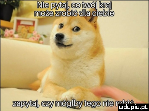 nie pytaj twój k raj n dla ciebie   a el. o. www rmkxió mduplu pl