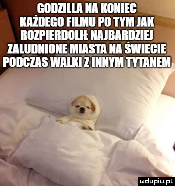 gllnllll a iiiiiiieg kaiiieeii fllllll rn tym iii iiﬂli ieiiiiiilii iiaibmiiiiei zmiiiiiiiiiiie miastil a świecie mums all i iiiiiyii iti iiieii