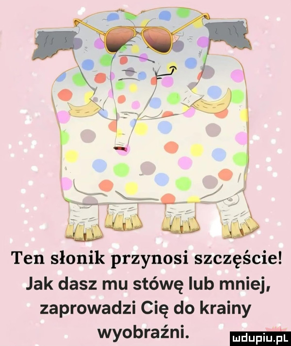qi. g w ten słonik przynosi szczęście jak dasz mu stówę lub mniej zaprowadzi cię do krainy wyobraźni. ma