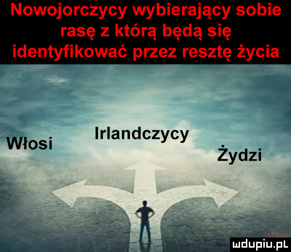irlandczycy włosi żydzi cm