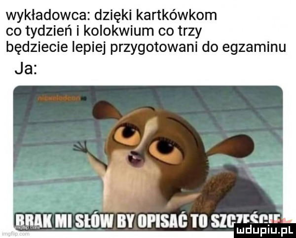 wykładowca dzięki kartkówkom co tydzień i kolokwium co trzy będziecie lepiej przygotowani do egzaminu ja a. r-k mi suiw by opisie ti szcnémr