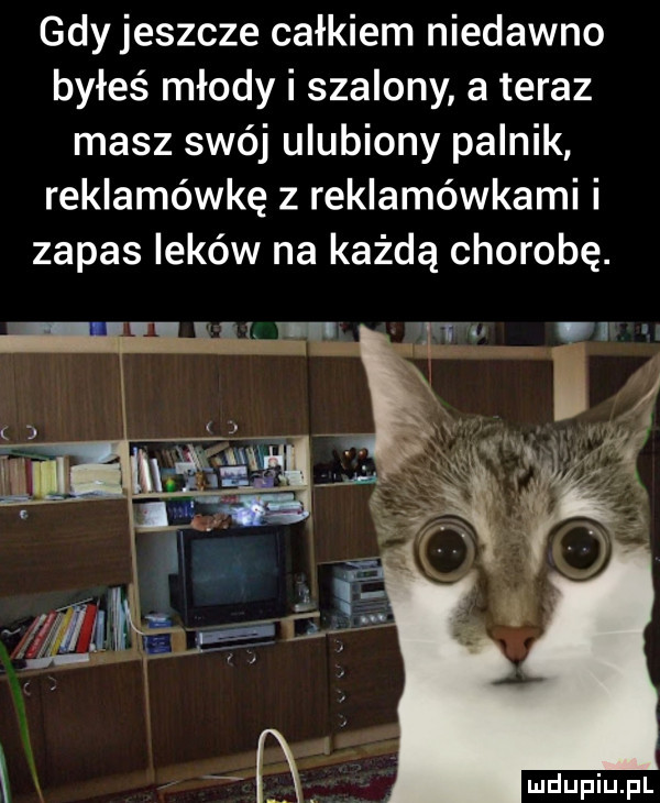 gdy jeszcze całkiem niedawno byłeś młody i szalony a teraz masz swój ulubiony palnik reklamówkę z reklamówkami i zapas leków na każdą chorobę