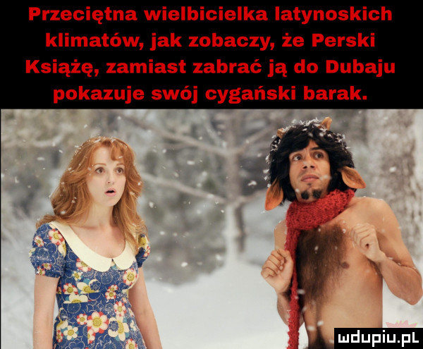 przeciętna wielbicielka latynoskich klimatów jak zobaczy że perski książę zamiast zabrać ją do dubaju pokazuje swój cygański barak