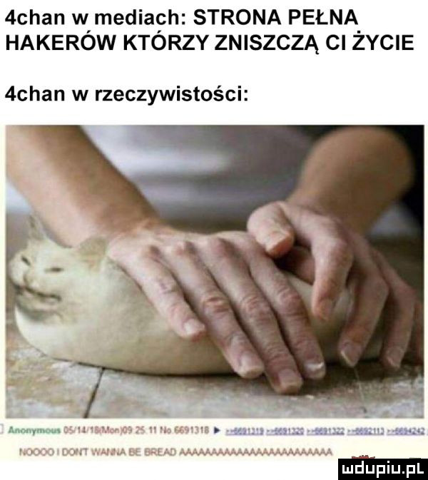 chan w mediach strona pełna. hakerow ktorzy zniszczą cl zycie  chan w rzeczywistości