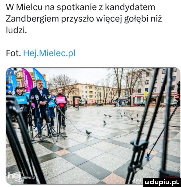 w mielcu na spotkanie z kandydatem zandbergiem przyszło więcej gołębi niż ludzi. fot. hej mielec pl