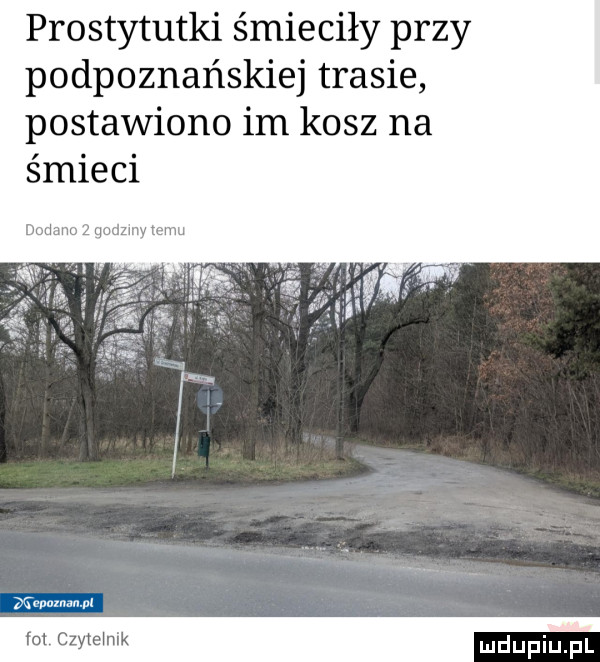 prostytutki śmieciły przy podpoznańskiej trasie postawiono im kosz na śmieci