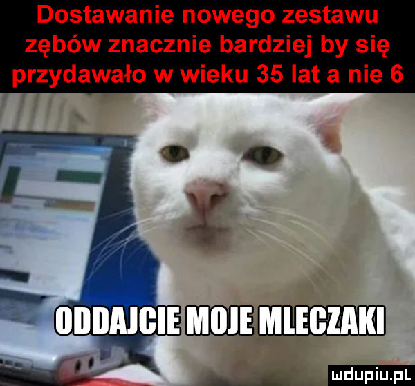 dostawanie nowego zestawu zębów znacznie bardziej by się przydawało w wieku    lat a nie  . ammmm