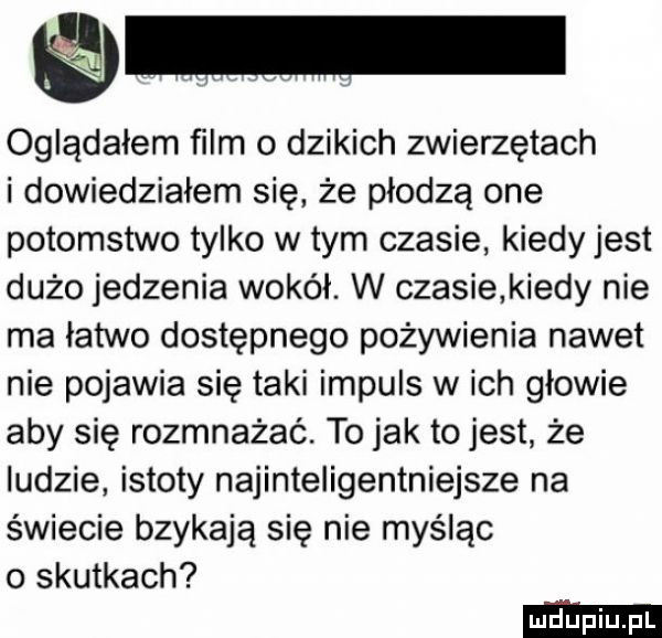 oglądałem ﬁlm o dzikich zwierzętach i dowiedziałem się że płodzą one potomstwo tylko w tym czasie kiedy jest dużo jedzenia wokół. w czasie kiedy nie ma łatwo dostępnego pożywienia nawet nie pojawia się taki impuls w ich głowie aby się rozmnażać. to jak to jest że ludzie istoty najinteligentniejsze na świecie bzykają się nie myśląc o skutkach