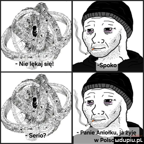 w plis ludupiu. pl
