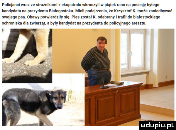 policjanci wmx ze srraznikami z ekupumlu wkroczyli w piarsk rano na pensję bylego kandydata na premium bialegosmku. mieli podejrzenia ze krlyssz x. moze zaniedbywać swojego psa obawy polwlerdxily się. pies mm k odebrany hrafil do biaiusiockisgo schroniska dba zwierząt a były kandydar na prezydenta do pnlicyjueqn aresztu. dj