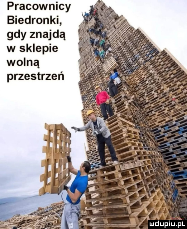 pracownicy biedronki gdy znajdą w sklepie wolną przestrzeń