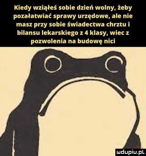 kiedy wziąłeś sobie dzień wolny żeby pozałatwiać sprawy urzędowe ale nie masz przy sobie świadectwa chrztu i bilansu lekarskiego   klasy. wiec z pozwolenia na budowę nici