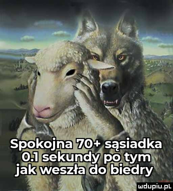 spokojn    są  akka     sekundy po er jak weszła ldoźbledry ludupiu. pl
