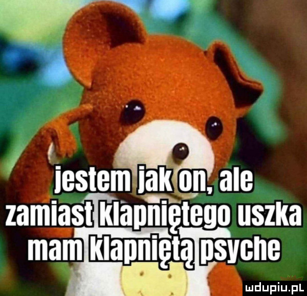 vn f iestem iainml. ale zamiast klapnięteyn uszka mam klannigtq psyche