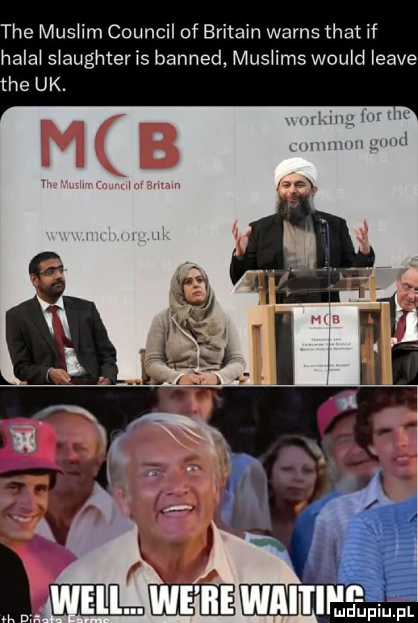 tee muslim council of britain warns trat if halal slaughter is banned muslims would leave tee uk. x-y killg iar l ic uriiąmmi md