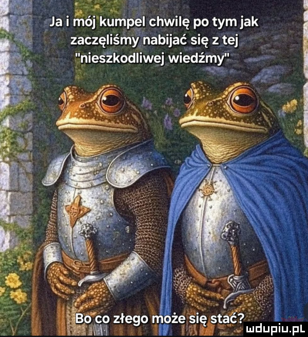 a ja i m kumpel chwilę po tym jak zaczęliśmy nabijać się z tej nies żkodliwej wiedźmy co złe o rń obe si stać mi   ę