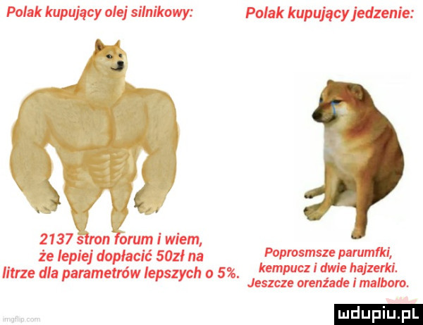 uplu pl