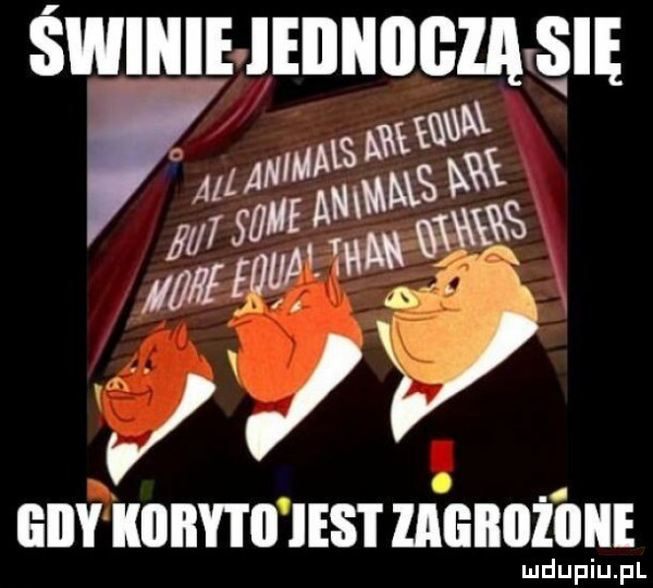 swmlmnuucząąllę r m aiżan maśnl w sﬂﬁfmmrm v x eiiy kiiiiy i ii iest llfgilliżiiiie