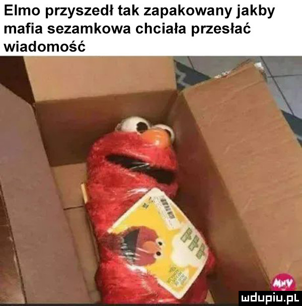 emmo przyszedł tak zapakowany jakby mafia sezamkowa chciała przesłać wiadomość mdupiużpl