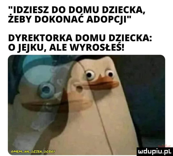 idziesz do domu dziecka żeby dokonać adopcji dyrektorka domu dziecka o eaku ale wyrosłes