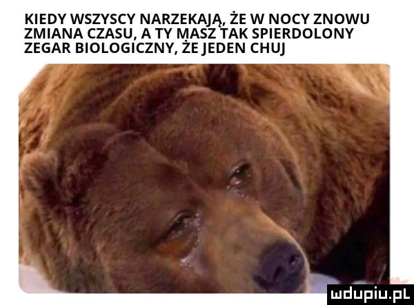 kiedy wszyscy narzekają że w nocy znowu zmiana czasu a ty masz tak spierdolony zegar biologi ceny że eden chu depiupl