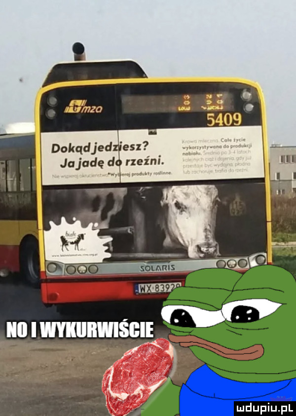 jojadę d rzein