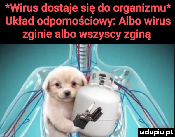 wirus dostaje się do organizmu układ odpornościowy albo wirus zginie albo wszyscy zginą