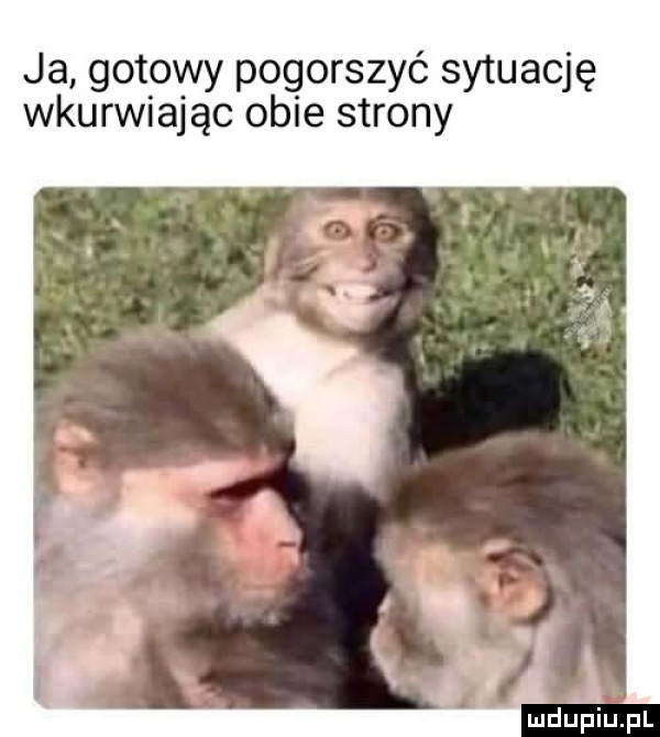 ja gotowy pogorszyć sytuację wkurwiając obie strony